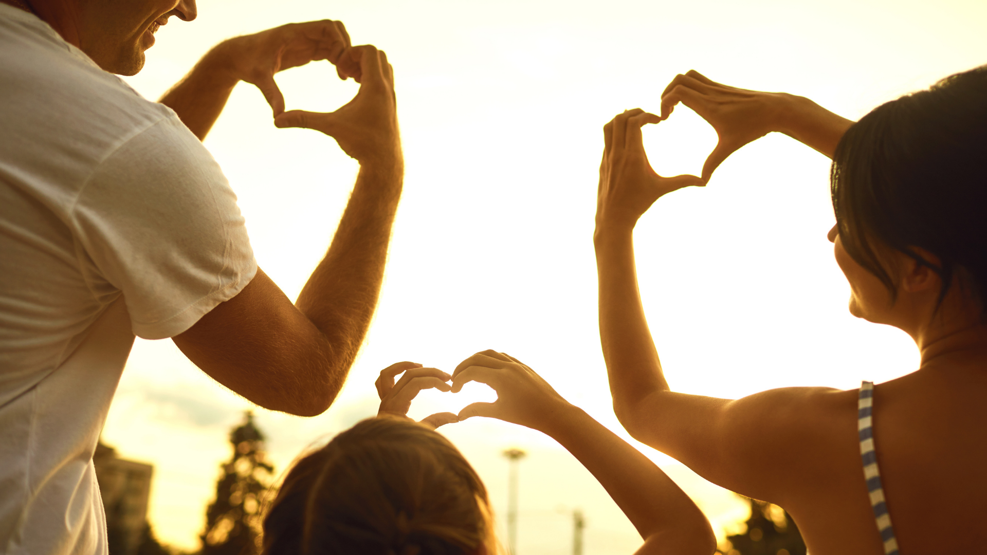 Văn phòng giao dịch Công ty Luật TNHH CNC Việt Nam