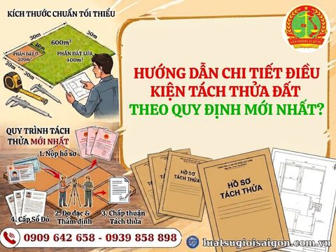 Tách thửa 600m² Đất ở và Đất lúa tại Tp.HCM: Hướng dẫn chi tiết theo quy định mới nhất