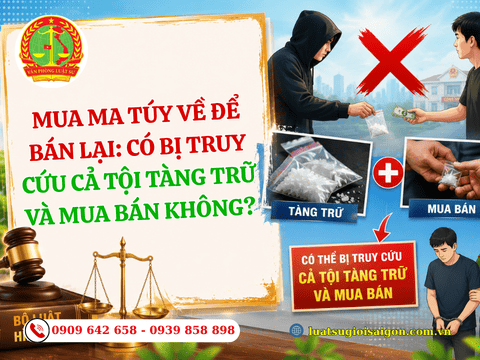 Mua ma túy về để bán lại: có bị truy cứu cả tội tàng trữ và mua bán không?