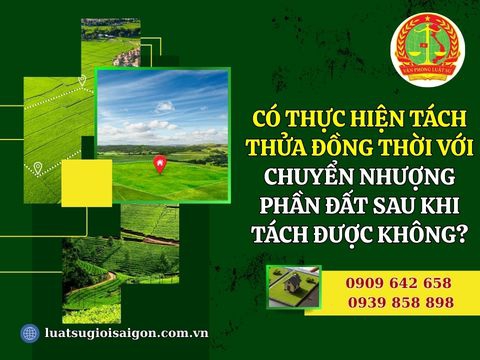 Có thực hiện tách thửa đồng thời với chuyển nhượng phần đất sau khi tách được không? (Mới nhất năm 2026)