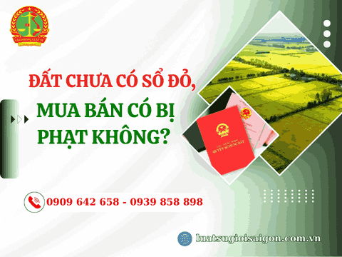 Đất chưa có Sổ đỏ, mua bán có bị phạt không?