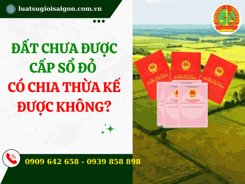 Đất chưa được cấp Sổ đỏ có chia thừa kế được không?