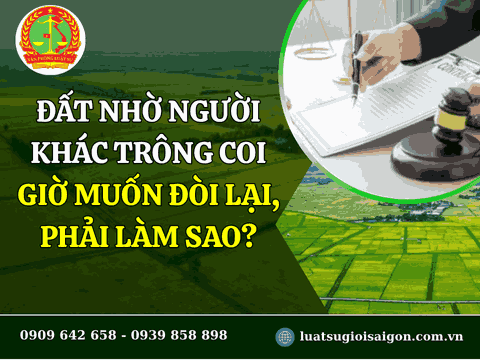 Đất nhờ người khác trông coi giờ muốn đòi lại, phải làm sao?